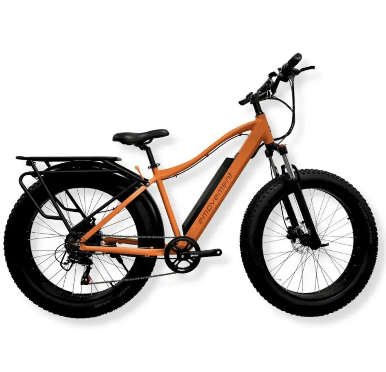 D1C73F24-0FD1-4107-945F-2DE2D3C90E4E