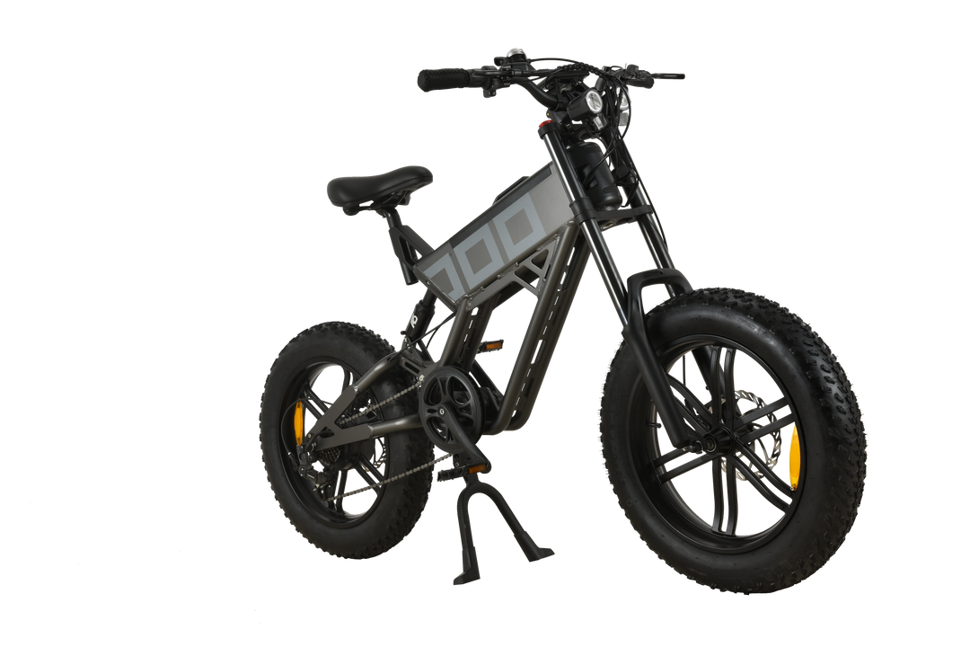 F143BD3D-4CBB-4444-A8FE-0F602F20B7CF